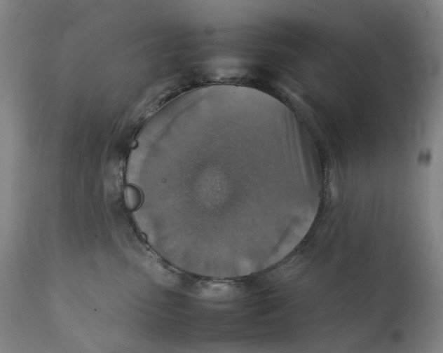 X0000111350475200907241202