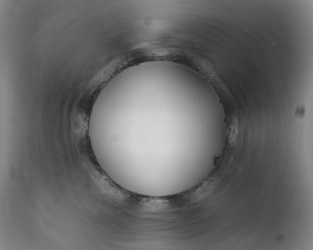 X0000111350476200907241202