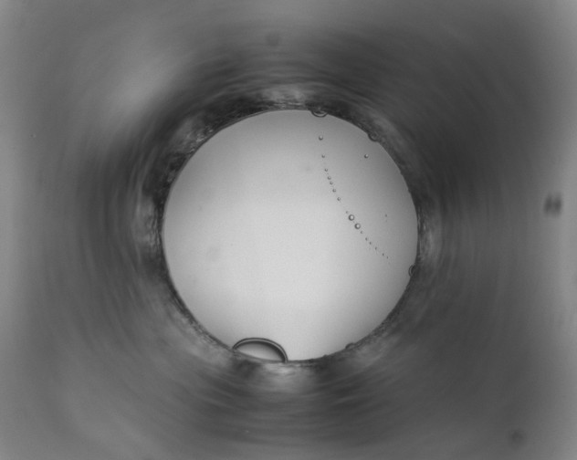 X0000111350477200907241202