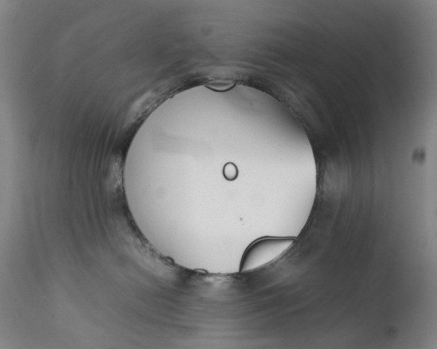 X0000111350478200907241202