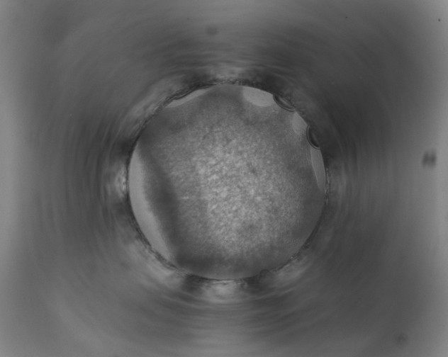 X0000111350479200907241202