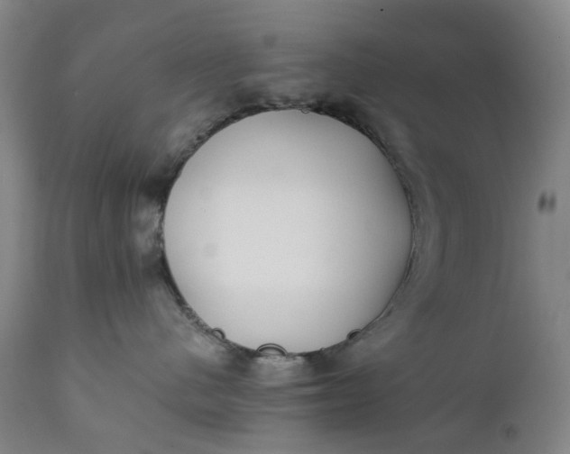 X0000111350480200907241202