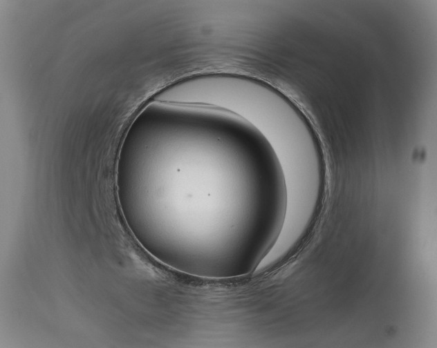 X0000111350481200907241202