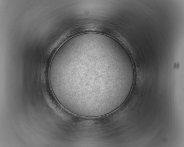 X0000111350482200907241202