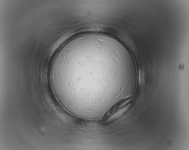 X0000111350483200907241202