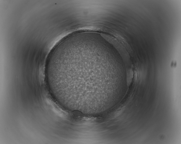 X0000111350484200907241202