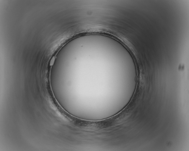 X0000111350485200907241202