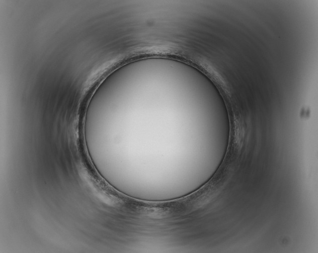 X0000111350486200907241202