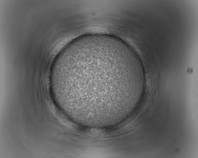 X0000111350487200907241202