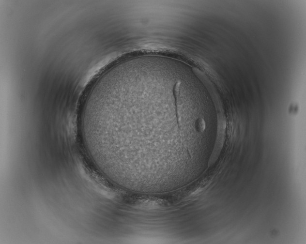 X0000111350488200907241202