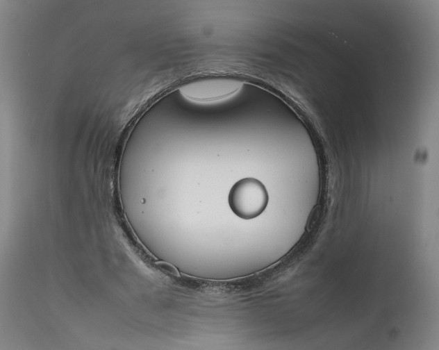 X0000111350489200907241202