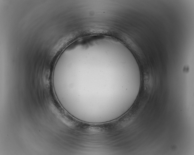 X0000111350490200907241202