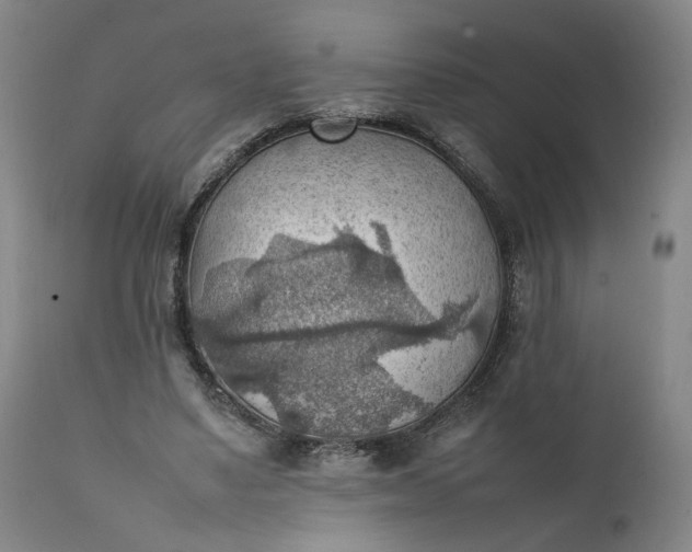 X0000111350491200907241202