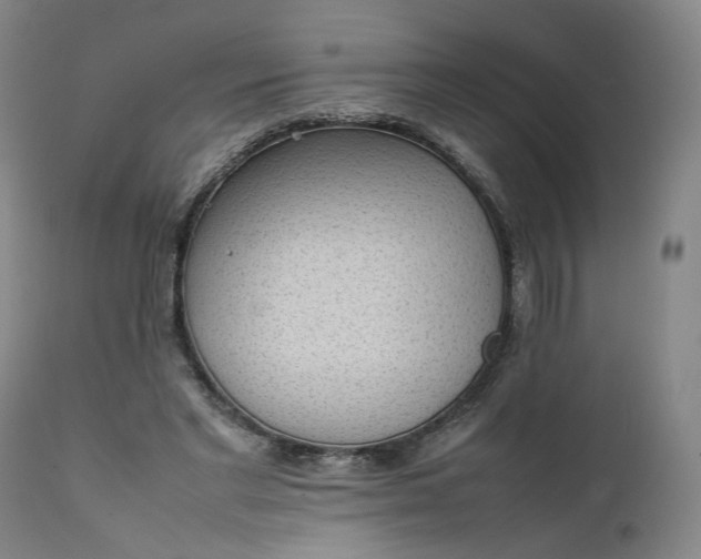 X0000111350493200907241202