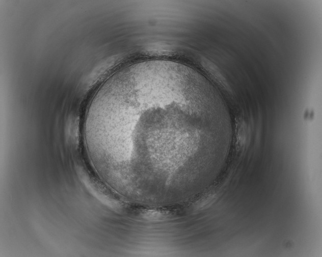 X0000111350494200907241202