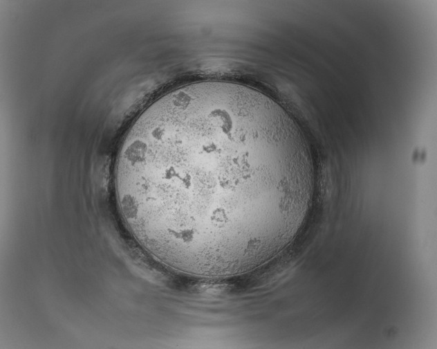 X0000111350495200907241201