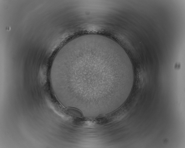 X0000111350496200907241201