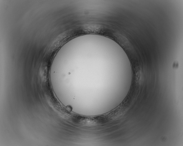 X0000111350498200907241201