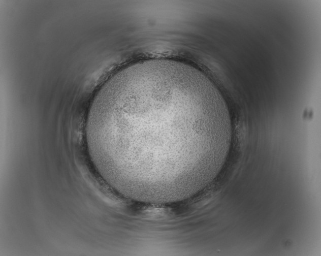 X0000111350499200907241201