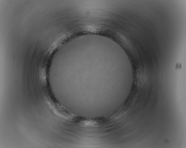 X0000111350500200907241201