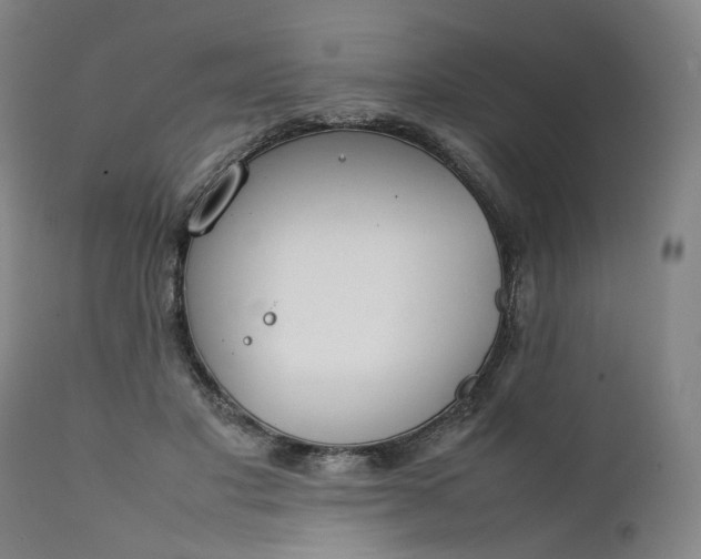 X0000111350501200907241201