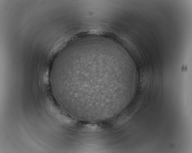 X0000111350502200907241201