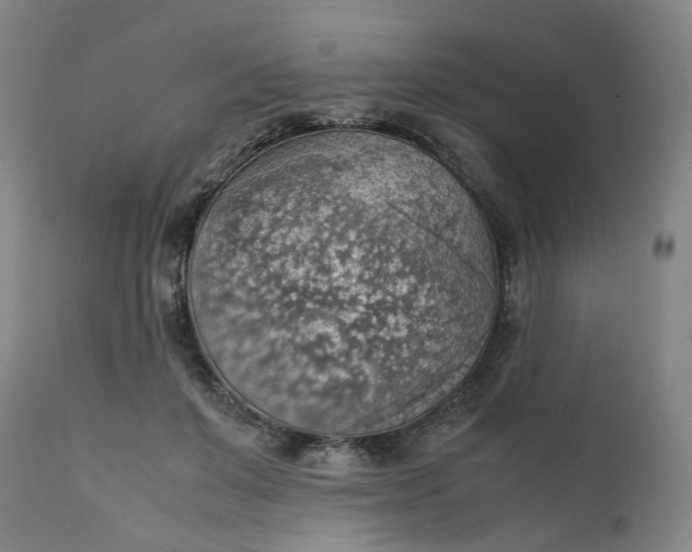 X0000111350503200907241201