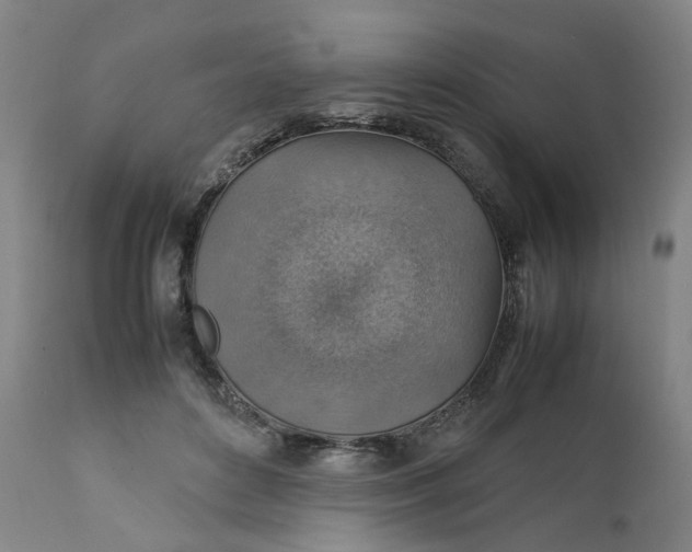 X0000111350504200907241201