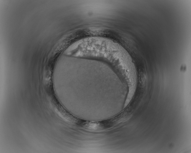 X0000111350507200907241201