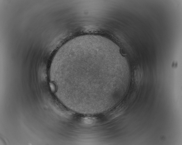 X0000111350508200907241201