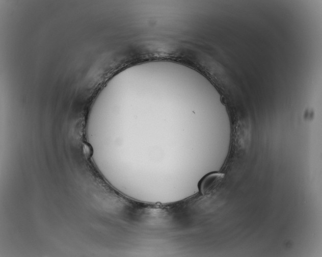 X0000111350509200907241201