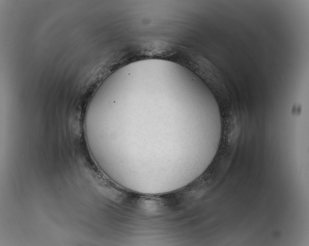 X0000111350510200907241201