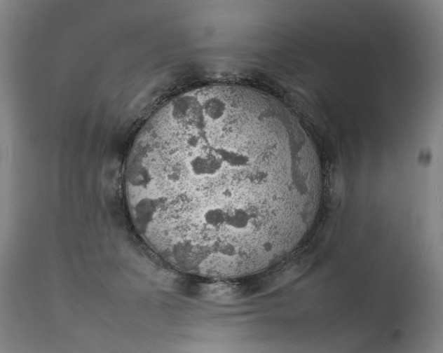 X0000111350511200907241201