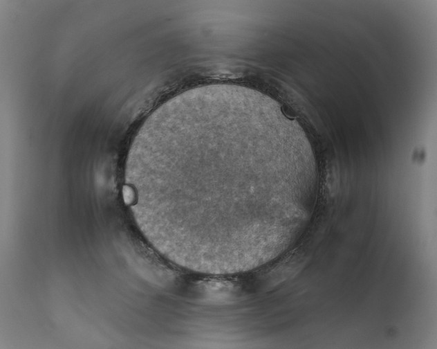 X0000111350512200907241201