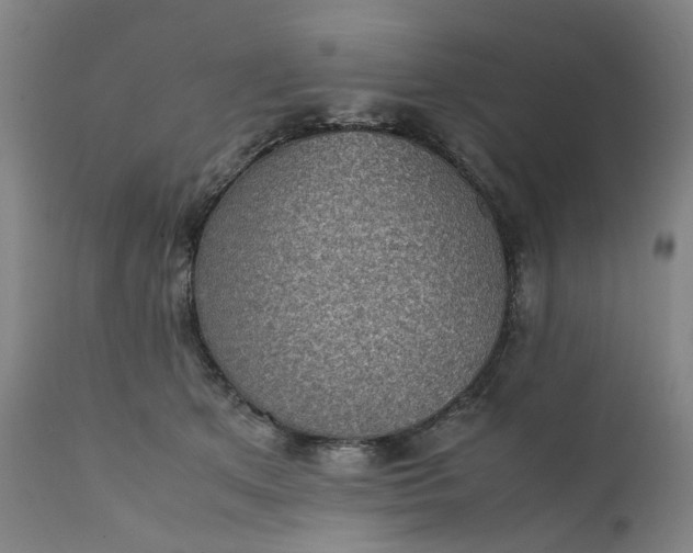 X0000111350513200907241201