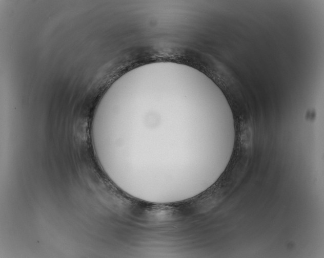 X0000111350514200907241201