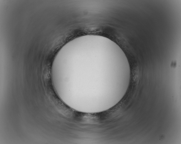 X0000111350515200907241201