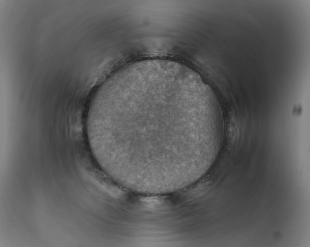 X0000111350516200907241201