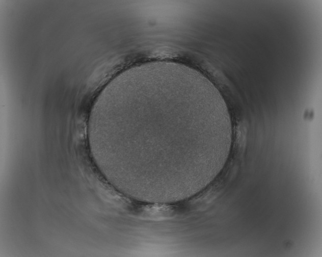 X0000111350517200907241201