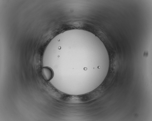 X0000111350518200907241201