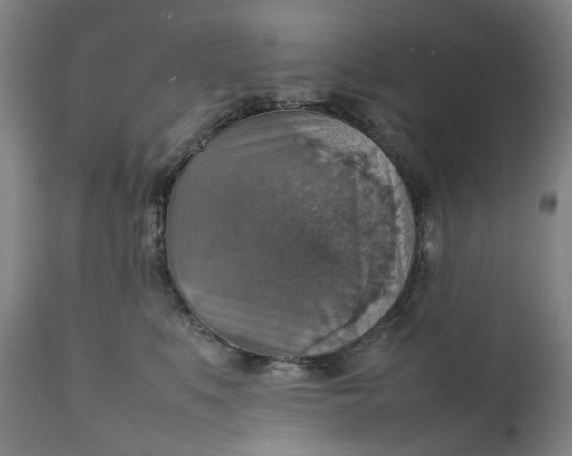 X0000111350519200907241201