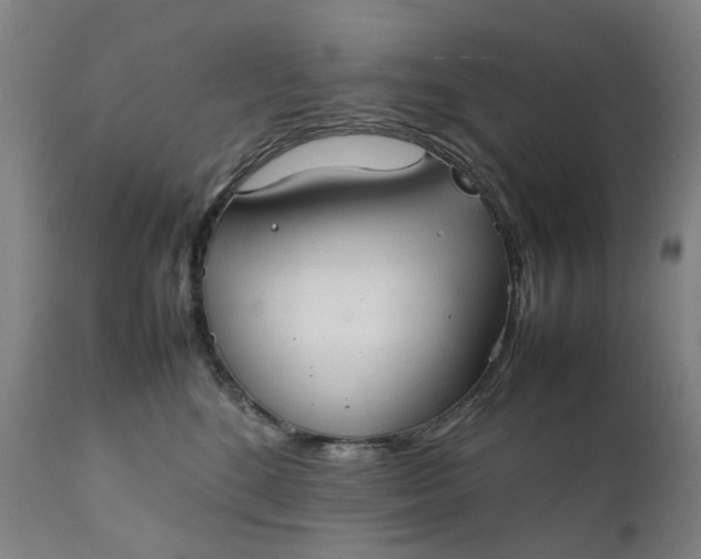 X0000111350520200907241201