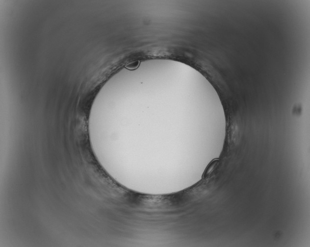 X0000111350521200907241201