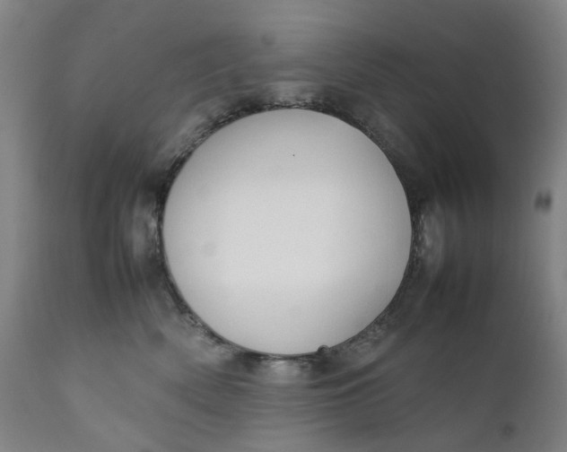 X0000111350522200907241201