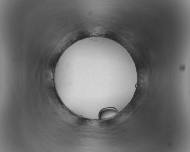 X0000111350523200907241201