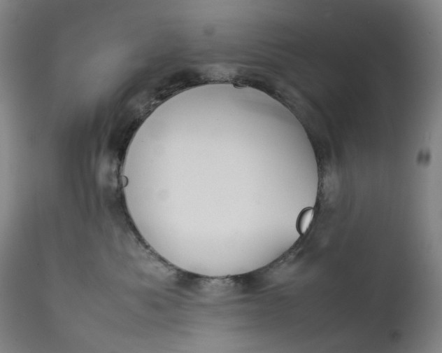 X0000111350525200907241201