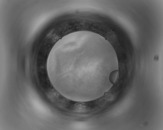 X0000111350526200907241201