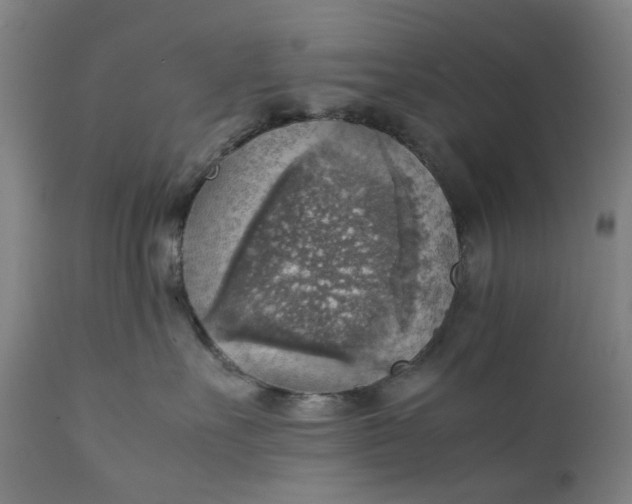 X0000111350527200907241201