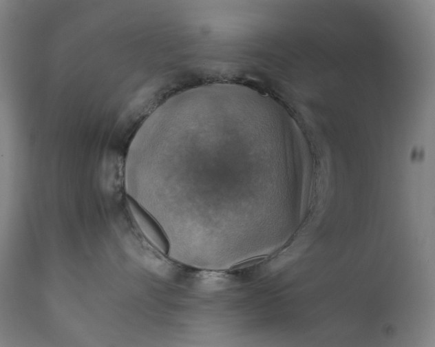 X0000111350528200907241201