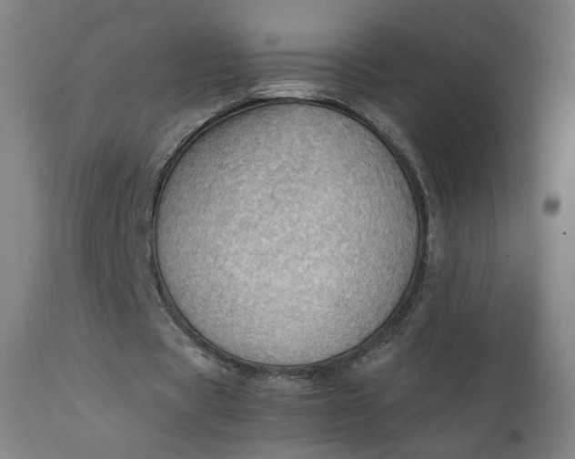 X0000111350529200907241200